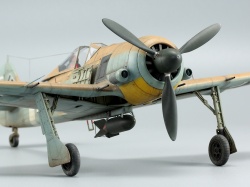 Eduard 1/48 Fw 190A-4/Trop – затерянный в песках