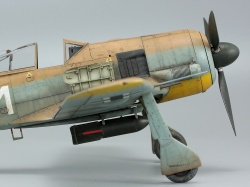 Eduard 1/48 Fw 190A-4/Trop    