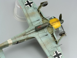 Eduard 1/48 Fw 190A-4/Trop    