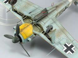 Eduard 1/48 Fw 190A-4/Trop    