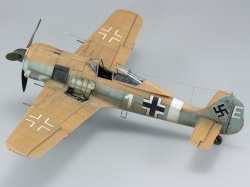 Eduard 1/48 Fw 190A-4/Trop    