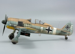 Eduard 1/48 Fw 190A-4/Trop    