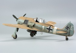 Eduard 1/48 Fw 190A-4/Trop – затерянный в песках