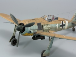 Eduard 1/48 Fw 190A-4/Trop    