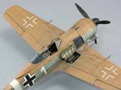 Eduard 1/48 Fw 190A-4/Trop    