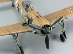 Eduard 1/48 Fw 190A-4/Trop    