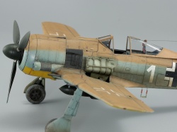 Eduard 1/48 Fw 190A-4/Trop    