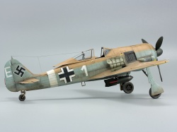 Eduard 1/48 Fw 190A-4/Trop    