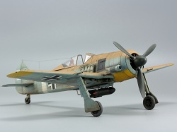 Eduard 1/48 Fw 190A-4/Trop    