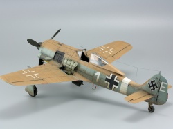 Eduard 1/48 Fw 190A-4/Trop    