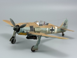 Eduard 1/48 Fw 190A-4/Trop    