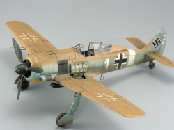 Eduard 1/48 Fw 190A-4/Trop    