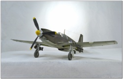 Hobbycraft 1/32 North American A-36 Apache/Invader