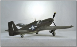 Hobbycraft 1/32 North American A-36 Apache/Invader