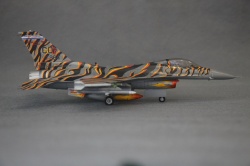 Revell 1/72 F-16C Block 30H, Tiger Meet 2003, / 87-0284