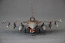 Revell 1/72 F-16C Block 30H, Tiger Meet 2003, / 87-0284