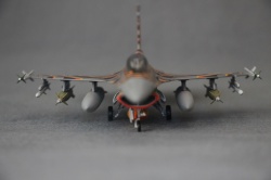 Revell 1/72 F-16C Block 30H, Tiger Meet 2003, / 87-0284