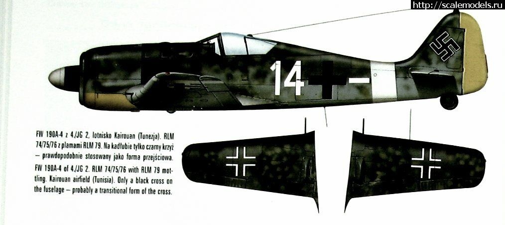 1679150691_36887_2_KAG-MON-3001_15.jpg : #1779199/ Focke-Wulf Fw-190A-4 ( 1:72)   