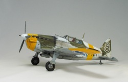 Special Hobby 1/32 Morane-Saulnier MS-406C.1