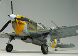 Special Hobby 1/32 Morane-Saulnier MS-406C.1