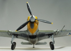 Special Hobby 1/32 Morane-Saulnier MS-406C.1