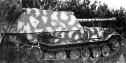  1/35 Sd.Kfz.184 Ferdinand 3653 -  