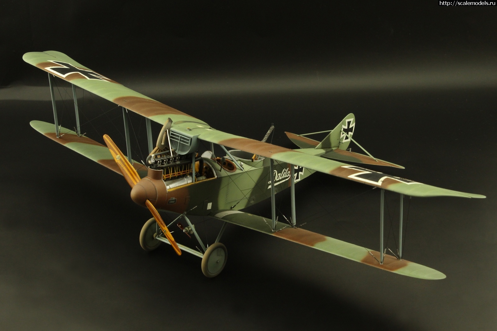 1683701937_10.jpg : #1786021/ Meng/WNW Fokker Dr/1 1/32 !  