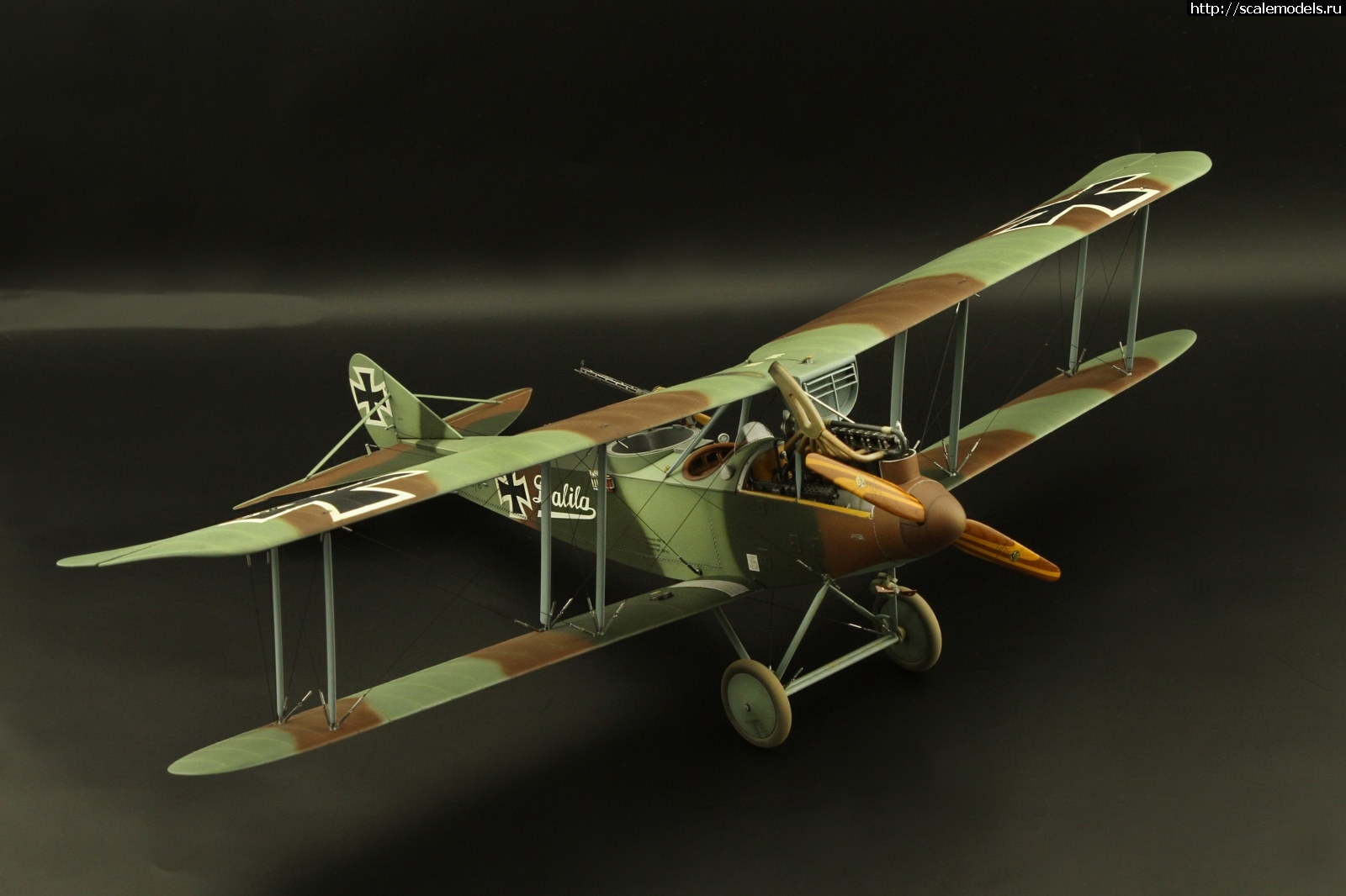 1683701950_13.jpg : #1786021/ Meng/WNW Fokker Dr/1 1/32 !  