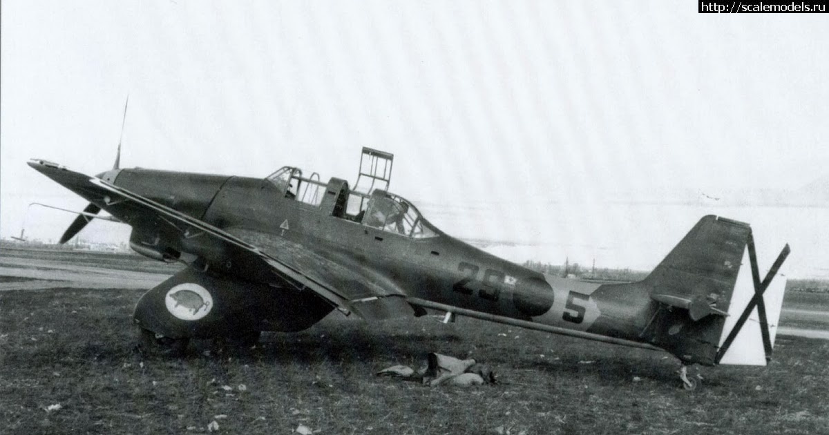 1684777912_13-junkers-ju-87-stuka-legion-condor-luftwaffe-spain-spanish-civil-war-swine-pig-symbol-emblem-1.jpg : #1787496/ 1/32 Trumpeter Ju-87A1 Legion Condor  