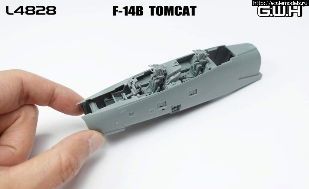 1684855721_FB_IMG_1684847705240.jpg : #1787577/ 1/48 - Grumman F-14A & B Tomcat by Great Wall Hobby (GWH  