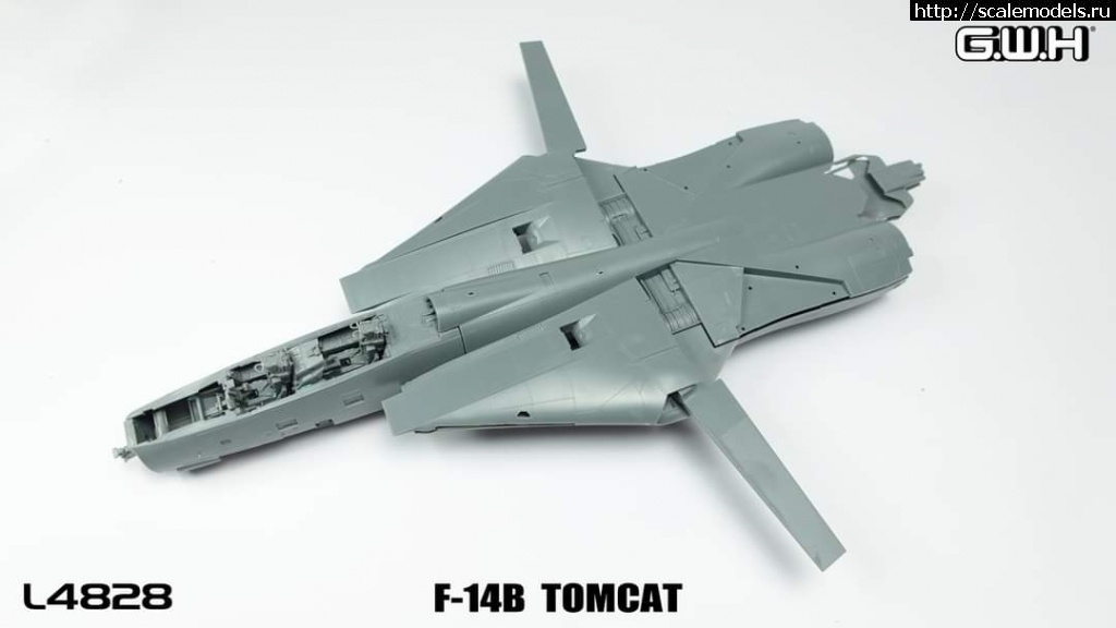 1684855728_FB_IMG_1684847695023.jpg : #1787577/ 1/48 - Grumman F-14A & B Tomcat by Great Wall Hobby (GWH  