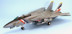 HobbyBoss 1/72 F-14D Tomcat
