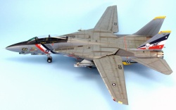 HobbyBoss 1/72 F-14D Tomcat