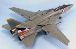 HobbyBoss 1/72 F-14D Tomcat