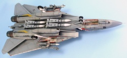 HobbyBoss 1/72 F-14D Tomcat