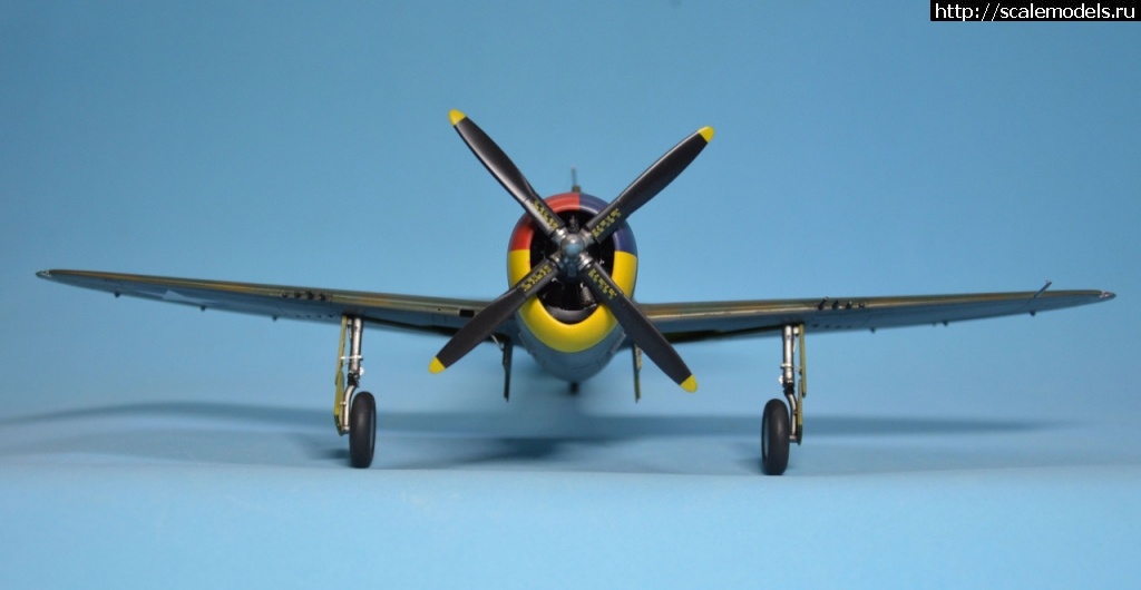 1688552897_DSC-0244.jpg :  Dora Wings 1/48 P-47B Thunderbolt  