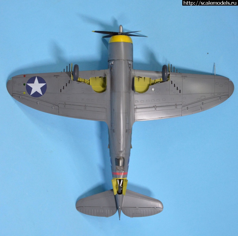 1688552902_DSC-0291.jpg :  Dora Wings 1/48 P-47B Thunderbolt  