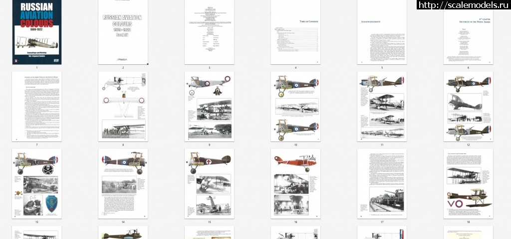 1688843844_Screenshot_2.jpg :  Russian Aviation Colours 1909-1922  