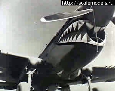 1689447399_112_shark_noseart.jpg : #1793304/ Kittyhawk Mk.Ia 1/72 special hobby   