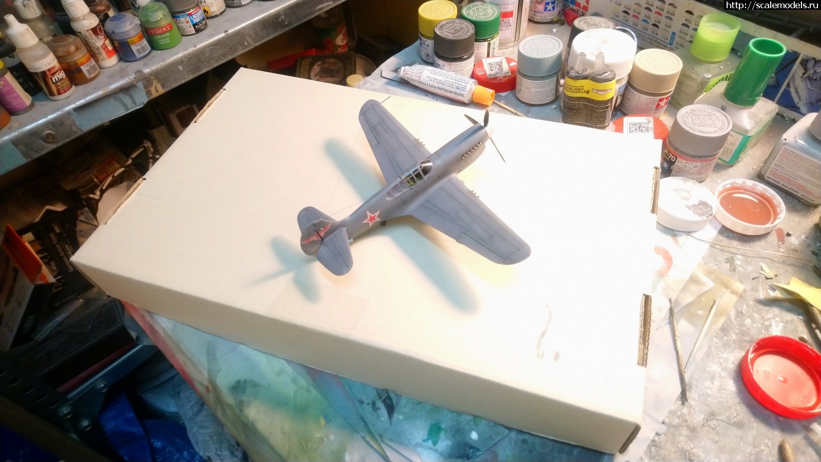 1693077211_DSC_0040.JPG : #1798198/ P-40k 1/72 Special hobby !  