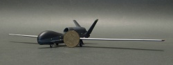 Miniwing 1/144 Northrop Grumman RQ-4B Global Hawk