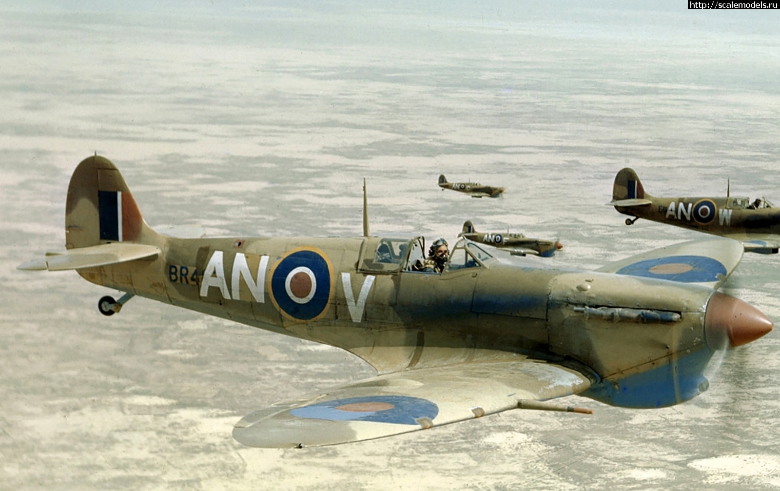 1694786270_Spitfire-MkVb-RCAF-417Sqn-ANV-BR41x-over-the-Tunisian-desert-1943-03.jpg : #1800253/ Kittyhawk Mk.Ia 1/72 special hobby   