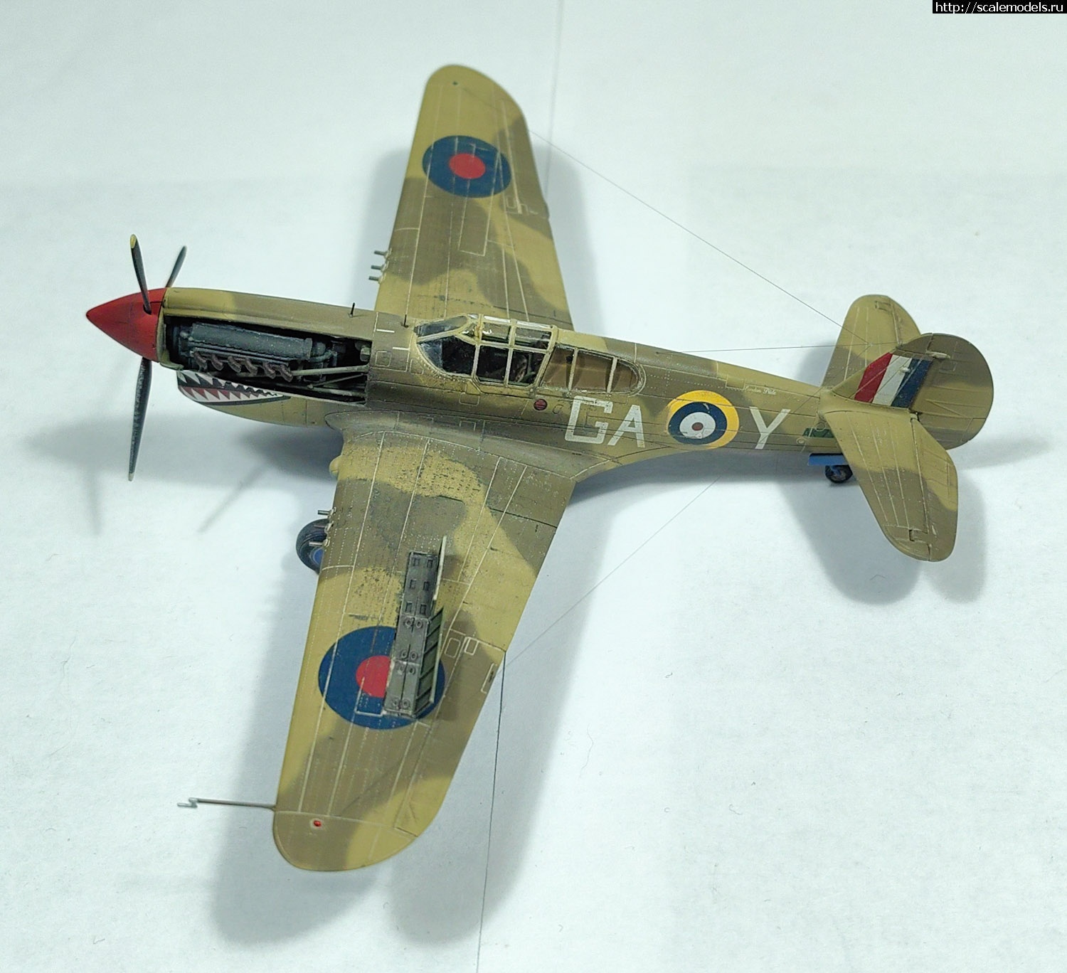 1695364435_PSX_20230922_091826.jpg : #1800919/ Kittyhawk Mk.Ia 1/72 special hobby   