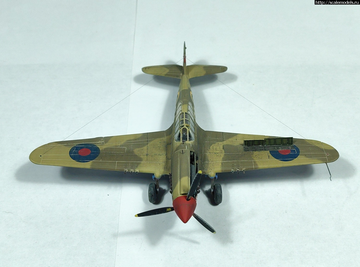 1695364448_PSX_20230922_092308.jpg : #1800927/ Kittyhawk Mk.Ia 1/72 special hobby   