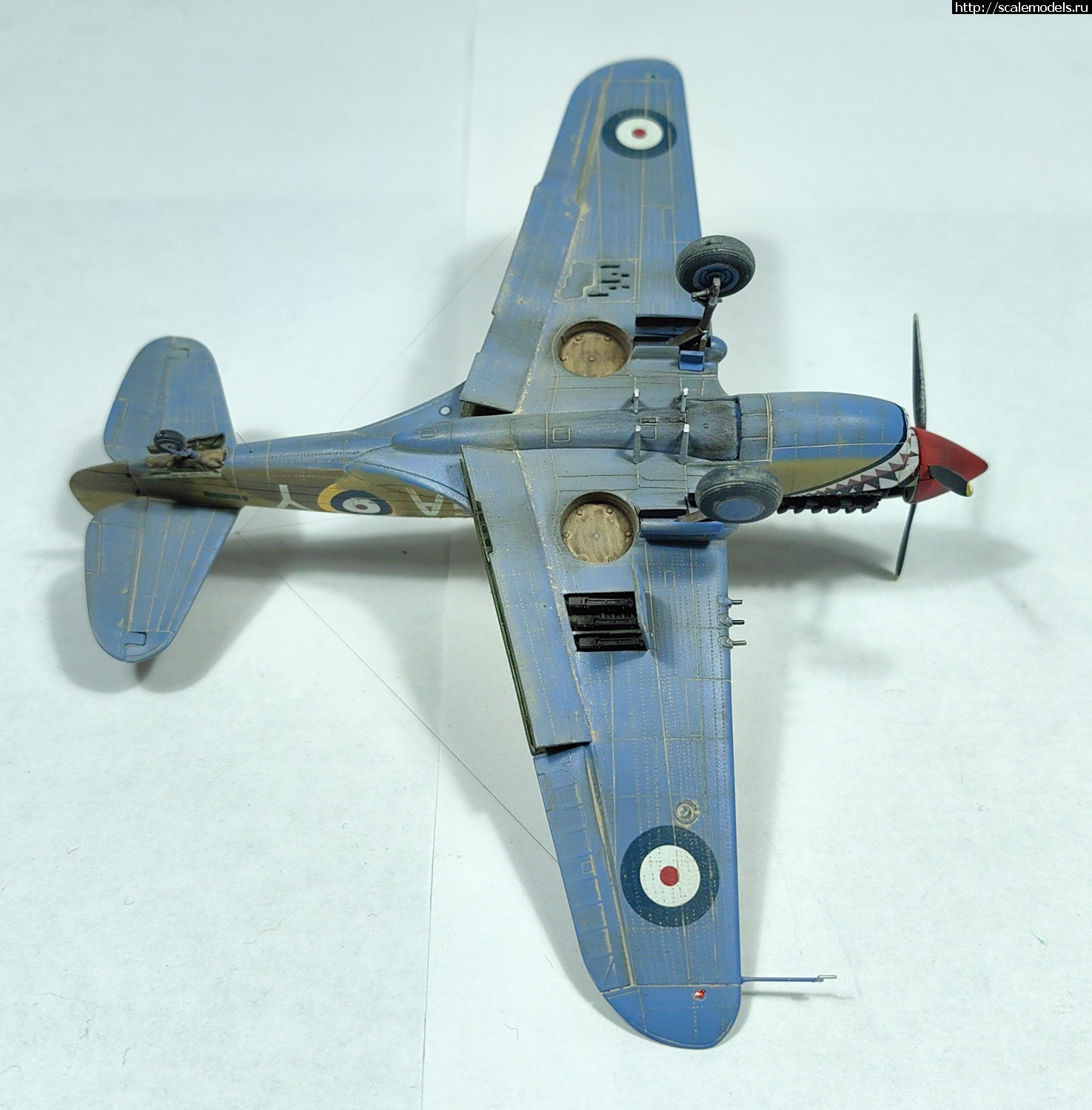 1695364451_PSX_20230922_092427.jpg : #1800919/ Kittyhawk Mk.Ia 1/72 special hobby   