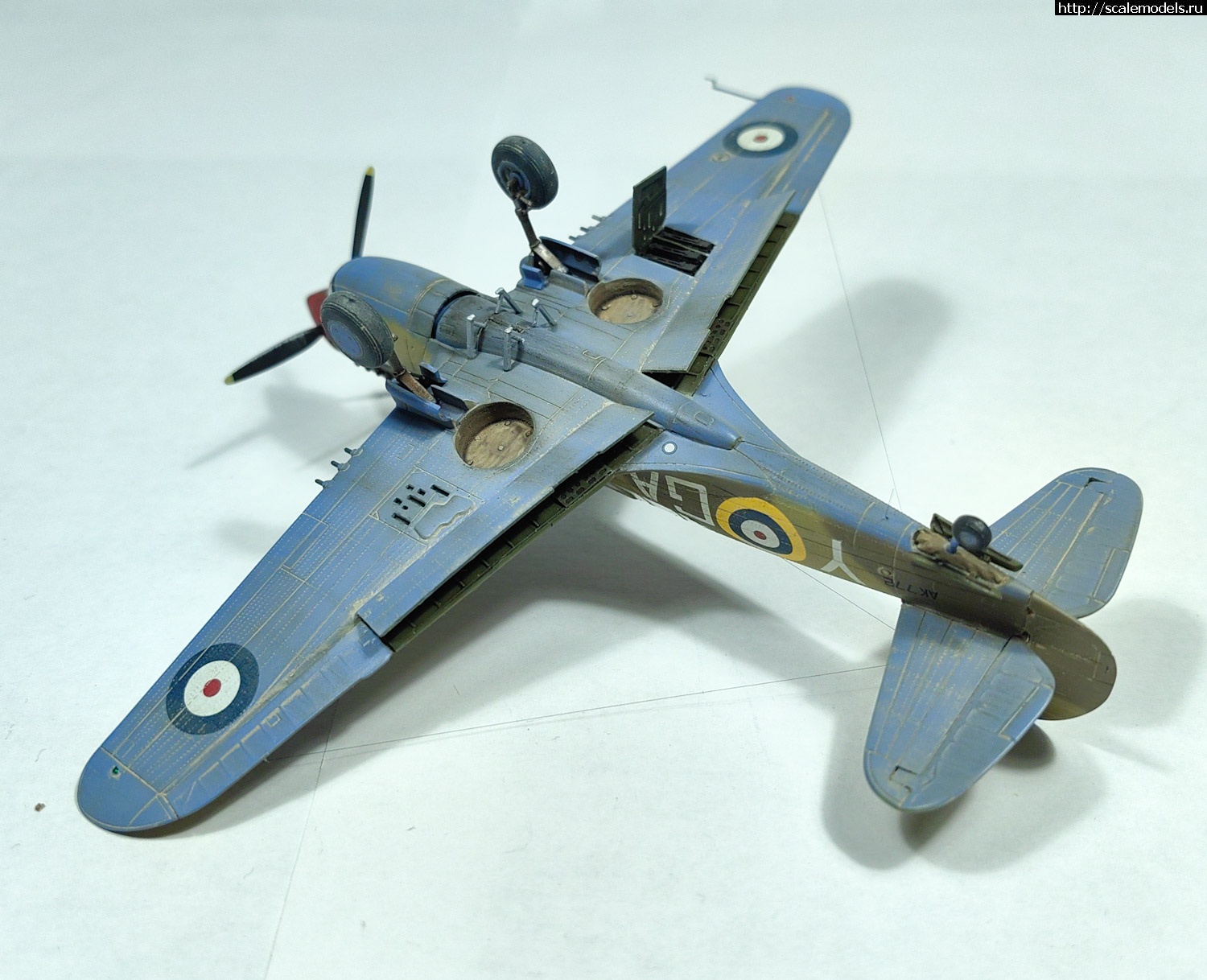 1695364457_PSX_20230922_092507.jpg : #1800927/ Kittyhawk Mk.Ia 1/72 special hobby   