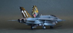 Italeri 1/72 F/A-18 Hornet Tiger Meet 2016