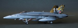 Italeri 1/72 F/A-18 Hornet Tiger Meet 2016