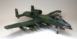 HobbyBoss 1/48 A-10 Thunderbolt II