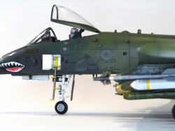 HobbyBoss 1/48 A-10 Thunderbolt II